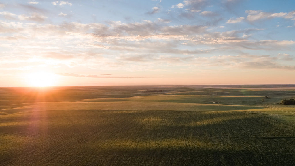 Sustainable-Ranching-in-Colorado-Prosper-Meats-Innovative-Approach Prosper Meats